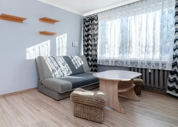 公寓 Zbiorcza Standard By Bookinghost 罗兹